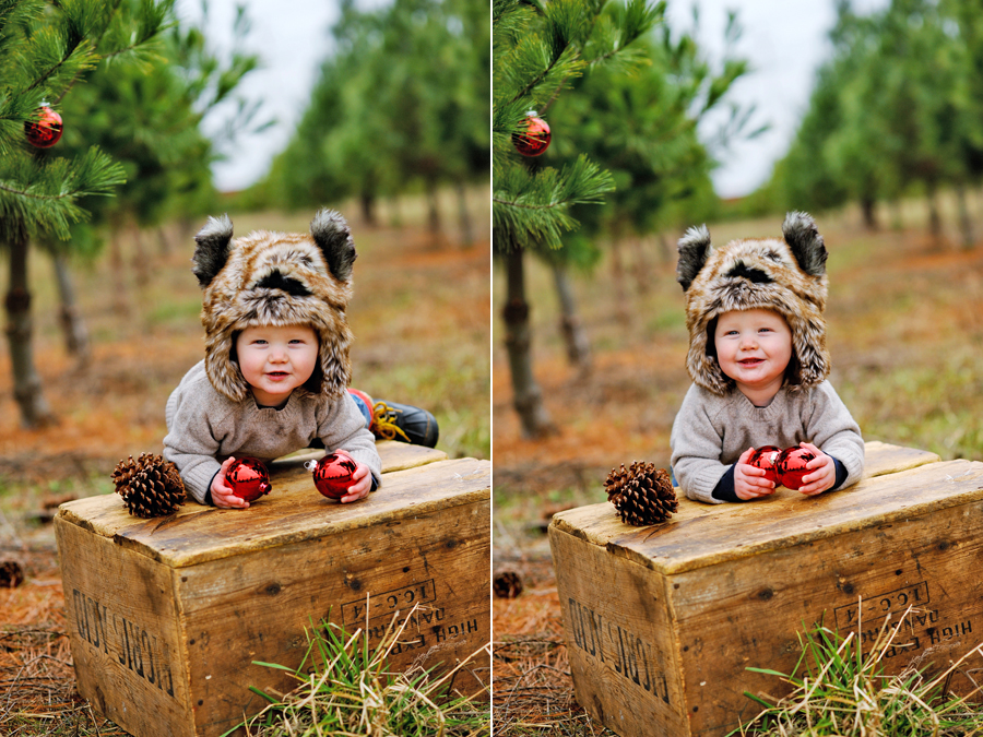 KELLY_BRAMAN_FAMILY_LIFESTYLE_STYLISH_TREE_FARM_PHOTOGRAPHY_036