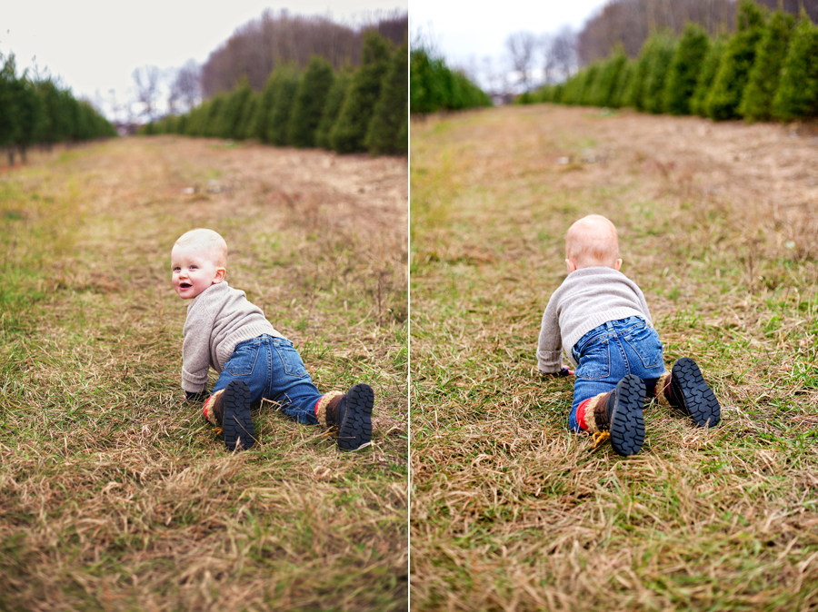 KELLY_BRAMAN_FAMILY_LIFESTYLE_STYLISH_TREE_FARM_PHOTOGRAPHY_044