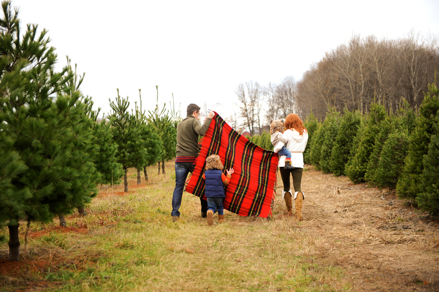KELLY_BRAMAN_FAMILY_LIFESTYLE_STYLISH_TREE_FARM_PHOTOGRAPHY_082