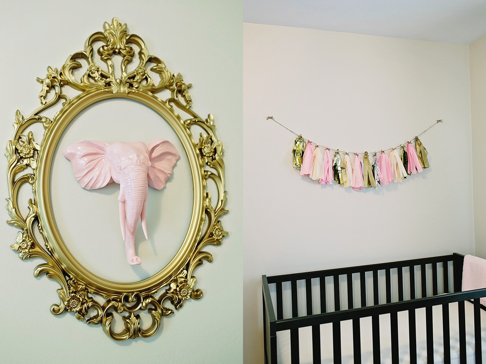 Kelly Braman Photography is the best family, child, newborn, maternity Grand Rapids photographer